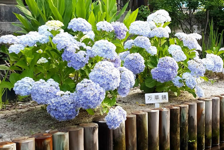 島根県松江のおススメ観光スポット・立寄スポット６選をご紹介！