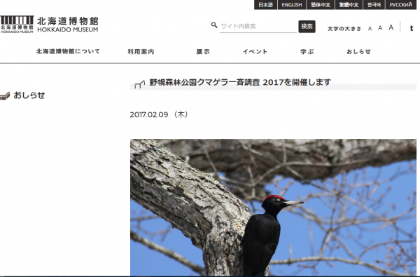 野幌森林公園クマゲラ一斉調査 