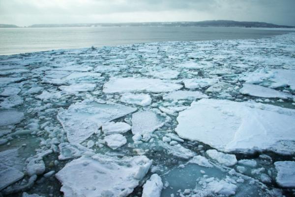 知床・ウトロの人気観光スポットと知床半島クルーズの魅力