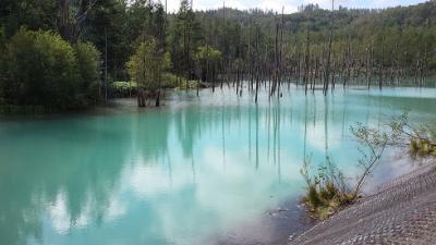 夏の水害から1か月。北海道美瑛町の青い池立ち入り可能に