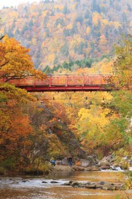 札幌で紅葉を先取り