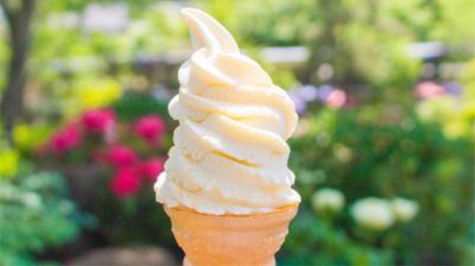 人気商品のアイスクリーム