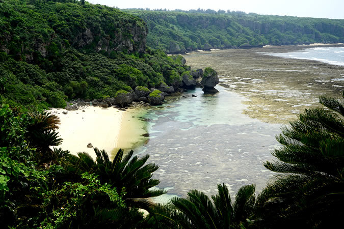 沖永良部島へ日帰り旅！ 鹿児島発着でたっぷり7時間半の大自然・絶景めぐりをしませんか