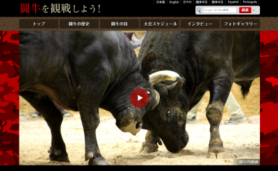 「第11回うるま祭り闘牛大会」