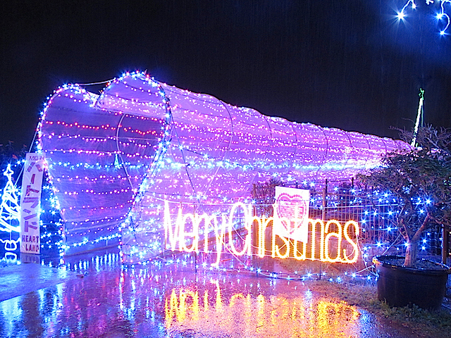 クリスマスファンタジー沖縄
