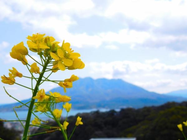 鹿児島の季節の魅力