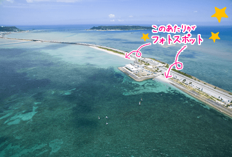 学生の沖縄旅行！リーズナブルに楽しむツアーの選び方