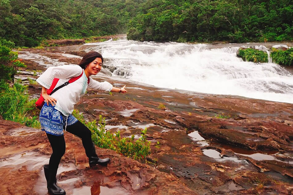 西表島の人気No.1ツアー「マリユドゥ＆カンピレーの滝へ　ジャングルを歩こう」をレポート！