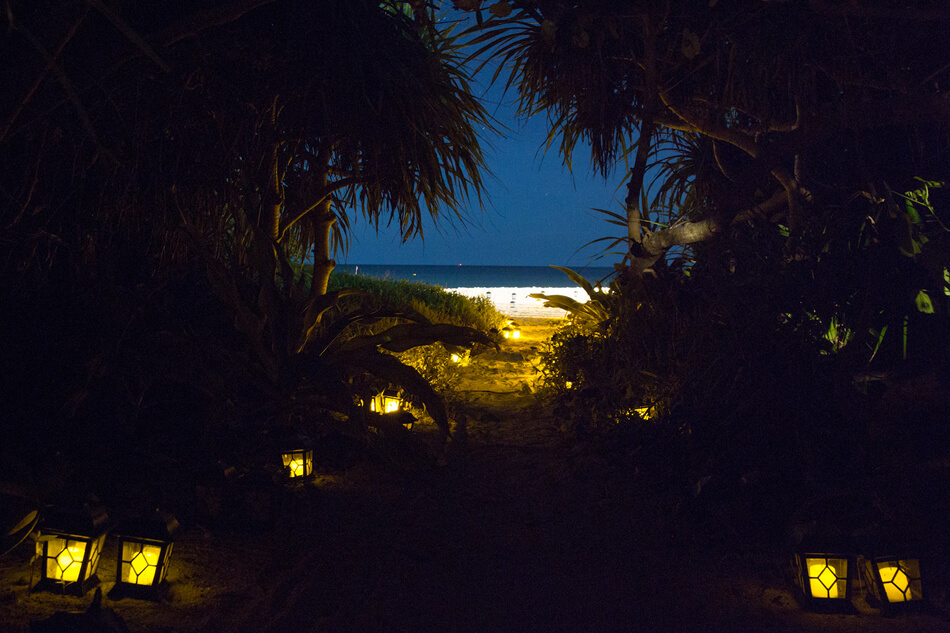 【満天の星空】大自然に囲まれロマンチックなお散歩を♪ 贅沢すぎる小浜島・夜のアクティビティ体験