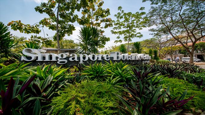 シンガポール初の世界遺産！シンガポール植物園（ボタニック・ガーデン）
